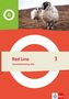 Red Line 3. Grammatiktraining aktiv Klasse 7, 1 Buch und 1 Diverse