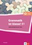 Arwen Dammann: Grammatik ist klasse! B1, Buch