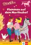 Rainer Wolke: Bibi und Tina - Flammen auf dem Martinshof, Buch,Div.