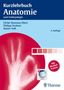 Ulrike Bommas-Ebert: Kurzlehrbuch Anatomie, Buch,Div.