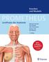 Michael Schünke: PROMETHEUS LernPoster der Anatomie, Knochen und Muskeln, Div.