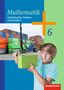 Mathematik 6. Arbeitsheft. Individuelles Fördern und Fordern, Buch, Buch
