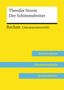 Nicola Mitterer: Theodor Storm: Der Schimmelreiter (Lehrerband), Buch