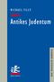 Titel: "Antikes Judentum" von Michael Tilly. Grauer Streifen links, blaues Hauptfeld, weißer Löwe als Logo unten., Buch