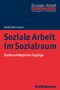 Heike Herrmann: Soziale Arbeit im Sozialraum, Buch