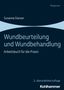 Susanne Danzer: Wundbeurteilung und Wundbehandlung, Buch