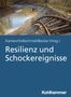 Resilienz und Schockereignisse, Buch