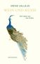 Irene Vallejo: Wein und Küsse, Buch