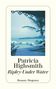 Patricia Highsmith: Ripley Under Water, Buch