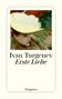 Ivan Turgenev: Erste Liebe, Buch