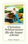 „Christian Schünemann, Bis die Sonne scheint, Roman, Diogenes.“ Illustration: Person lehnt an einem Auto., Buch