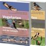 Carl'Antonio Balzari: Vogelarten Deutschlands, Österreichs und der Schweiz, Buch