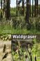 Christine Rapp: Waldgräser, Buch