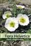Stefan Eggenberg: Flora Helvetica - Guide d'excursions, Buch