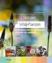 Frank Hecker: Heilsame Wildpflanzen, Buch