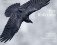 Heinrich Haller: Der Kolkrabe - Totenvogel, Götterbote, tierisches Genie, Buch