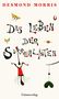 "DESMOND MORRIS" und "Das Leben der Surrealisten". Verspielte, surrealistische Illustration mit Figuren und Objekten., Buch