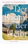 "Harry Kämmerer. Der Raum, der bleibt. Roman. Nagel und Kimche." Eindrucksvolle Landschaft mit Bergen und Tal., Buch