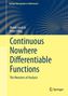 Peter Pflug: Continuous Nowhere Differentiable Functions, Buch