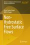 Willi H. Hager: Non-Hydrostatic Free Surface Flows, Buch