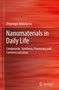 Zhypargul Abdullaeva: Nanomaterials in Daily Life, Buch