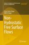 Willi H. Hager: Non-Hydrostatic Free Surface Flows, Buch