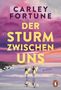 Titel: "Der Sturm zwischen uns" von Carley Fortune; Zwei Personen mit Surfbrettern am Strand bei Sonnenuntergang., Buch