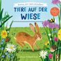 Komm mit nach draußen! - Tiere auf der Wiese, Buch