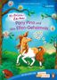 Amelie Plaas-Link: Hufeisen-Zauber - Pony Pina und das Elfen-Geheimnis, Buch