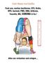 Carl-Maria von Görlitz: Fuck you, morbus bechterew, CFS, Krebs, KPU, burnout, PMS, SMA, Arthrose, Tourette, MS, CORONA & Co.!, Buch