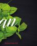 Michael Götz-Pijl: Vegan - Vegetarische & Vegane Küche ohne Langeweile, Buch
