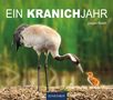 „EIN KRANICHJAHR“ und „Jürgen Reich“ in Weiß. Ein Kranich beugt sich zu einem flauschigen Küken. Hinstorff-Logo unten., Buch