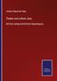 Johann Nepomuk Sepp: Thaten und Lehren Jesu, Buch
