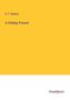 D. F. Newton: A Holiday Present, Buch