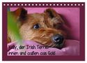 Claudia Schimon: Kelly, der Irish Terrier - innen und außen aus Gold (Tischkalender 2024 DIN A5 quer), CALVENDO Monatskalender, KAL