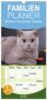 Gabriela Wejat-Zaretzke: Familienplaner 2024 - Britisch Kurzhaar Katzen mit 5 Spalten (Wandkalender, 21 x 45 cm) CALVENDO, KAL