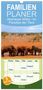 Daniel Rohr: Familienplaner 2024 - Abenteuer Afrika - Im Paradies der Tiere mit 5 Spalten (Wandkalender, 21 x 45 cm) CALVENDO, Kalender