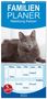 Fotodesign Verena Scholze: Familienplaner 2024 - Nebelung Katzen mit 5 Spalten (Wandkalender, 21 x 45 cm) CALVENDO, KAL