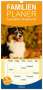 Sigrid Starick: Familienplaner 2024 - Bekannt wie ein bunter Hund. Australian Shepherd mit 5 Spalten (Wandkalender, 21 x 45 cm) CALVENDO, Kalender