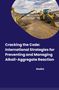 Shalini: Cracking the Code: International Strategies for Preventing and Managing Alkali-Aggregate Reaction, Buch