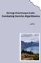 Jaffer: From Excellent to Impaired: Restoring the Water Quality of Chautauqua Lake, Buch