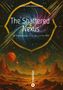 Gohar Amin Diederichsen: The Shattered Nexus, Buch