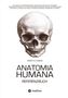 Ronny Bernd Koseck: Anatomia Humana: Das Referenzbuch, Buch