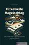 Titel: "Hitzewelle Hagelschlag". Autor: Saskia Karges. Thema: Anpassung Firmen an Klimawandel. Illustration mit Wetterelementen., Buch