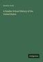 David B. Scott: A Smaller School History of the United States, Buch, Buch