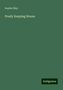 Sophie May: Prudy Keeping House, Buch
