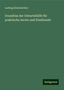 Ludwig Kleinwächter: Grundriss der Geburtshülfe für praktische Aerzte und Studirende, Buch