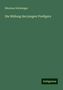 Nikolaus Schleiniger: Schleiniger, N: Bildung des jungen Predigers, Buch