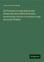 Julie Pfannenschmidt: Die Preussen in Prag: historischer Roman aus dem letzten deutschen Bruderkriege und der Occupation Prags durch die Preußen, Buch