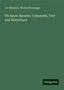 Leo Reinisch: Die Barea-Sprache; Grammatik, Text und Wörterbuch, Buch